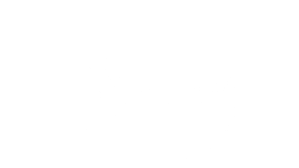 STYLE NOURISH